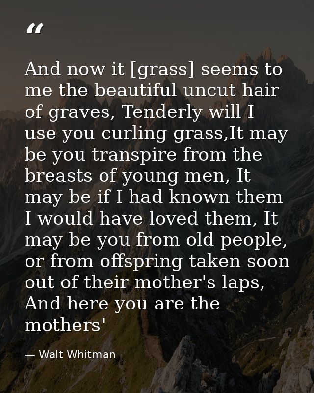 And now it [grass] seems to me the beautiful uncut hair of graves, Tenderly will I use you curling grass,It may be you t — Walt Whitman