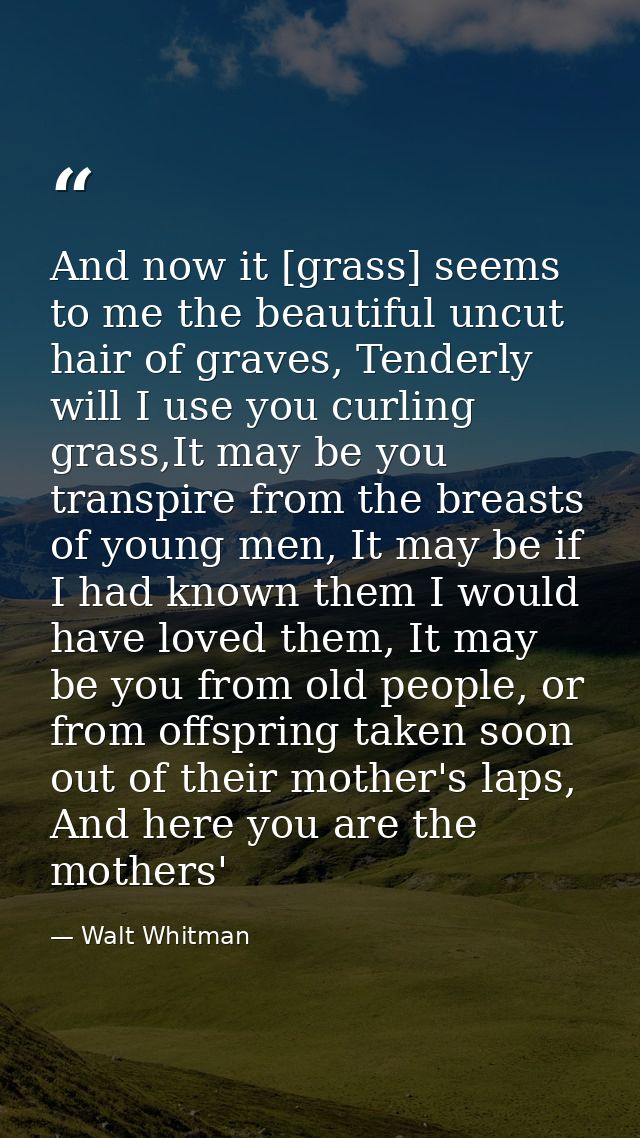 And now it [grass] seems to me the beautiful uncut hair of graves, Tenderly will I use you curling grass,It may be you t — Walt Whitman