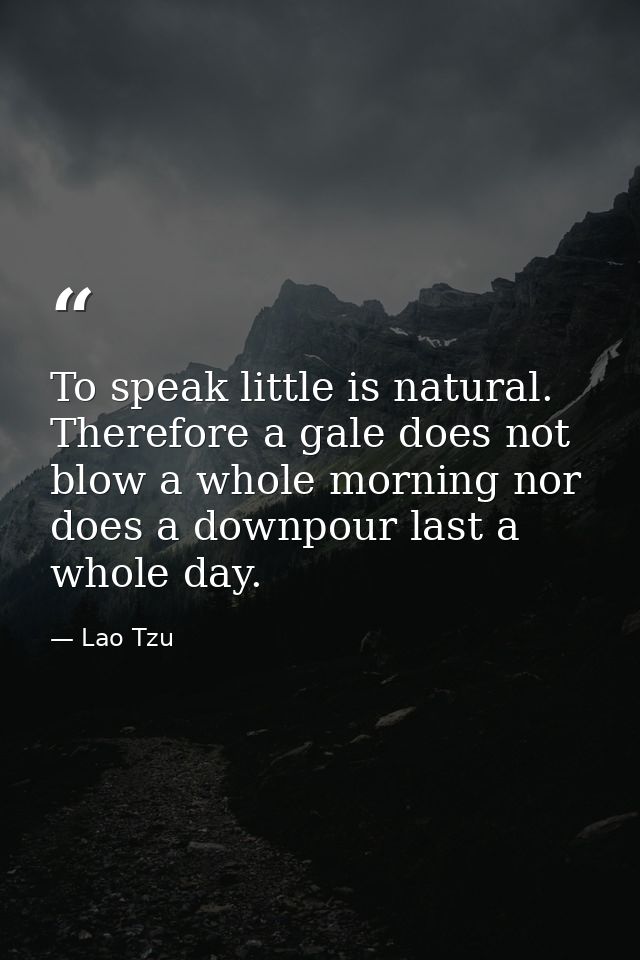 To speak little is natural. Therefore a gale does not blow a whole morning nor does a downpour last a whole day. — Lao Tzu