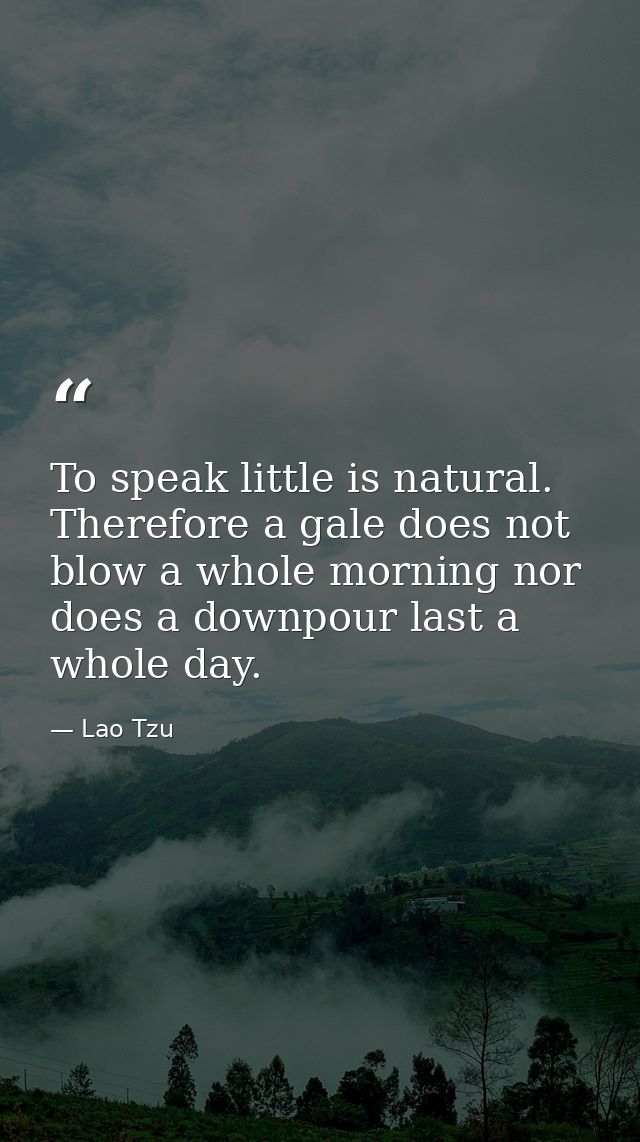 To speak little is natural. Therefore a gale does not blow a whole morning nor does a downpour last a whole day. — Lao Tzu