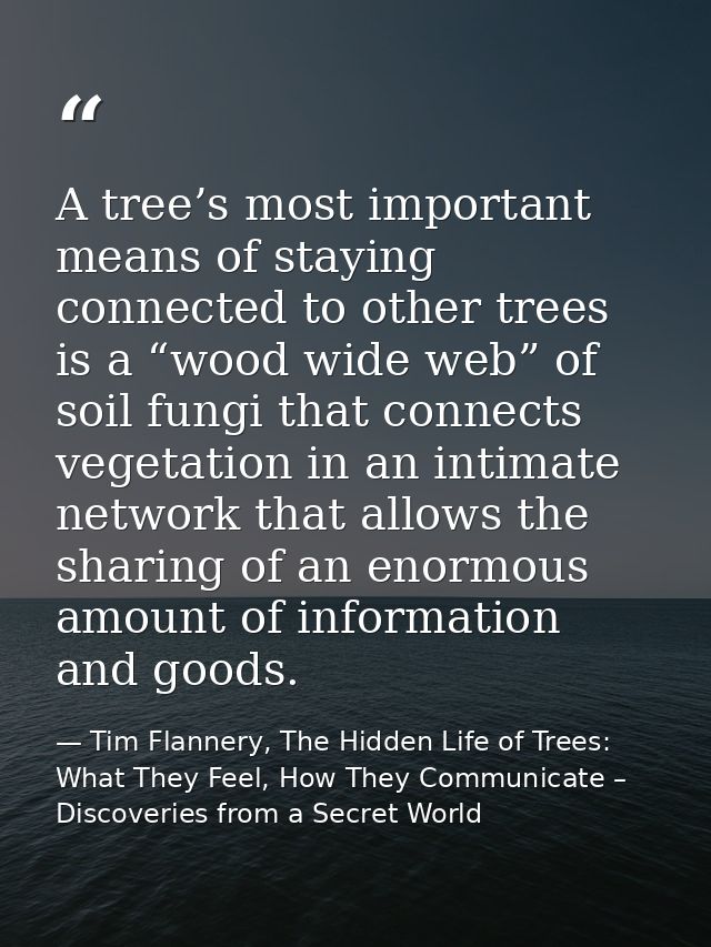 A tree’s most important means of staying connected to other trees is a “wood wide web” of soil fungi that connects veget — Tim Flannery, The Hidden Life of Trees: What They Feel, How They Communicate – Discoveries from a Secret World