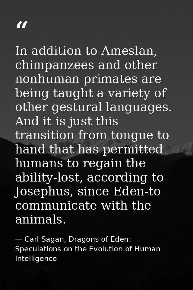In addition to Ameslan, chimpanzees and other nonhuman primates are being taught a variety of other gestural languages.  — Carl Sagan, Dragons of Eden: Speculations on the Evolution of Human Intelligence