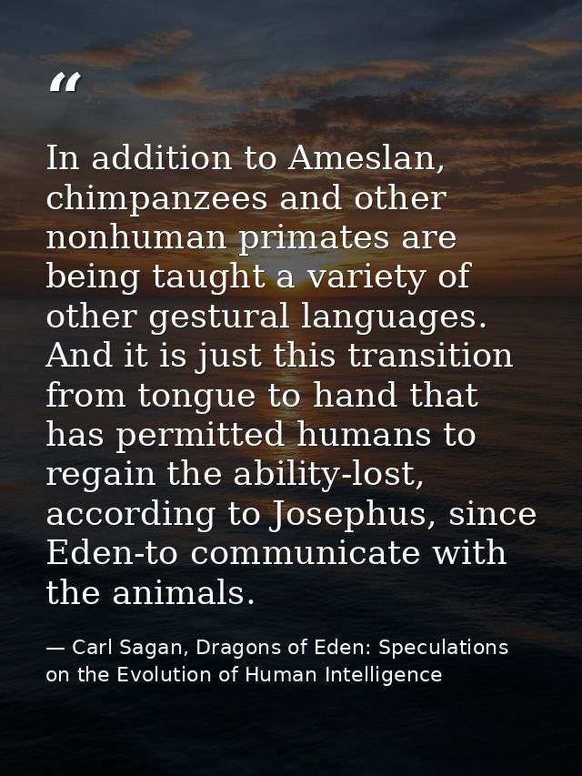 In addition to Ameslan, chimpanzees and other nonhuman primates are being taught a variety of other gestural languages.  — Carl Sagan, Dragons of Eden: Speculations on the Evolution of Human Intelligence