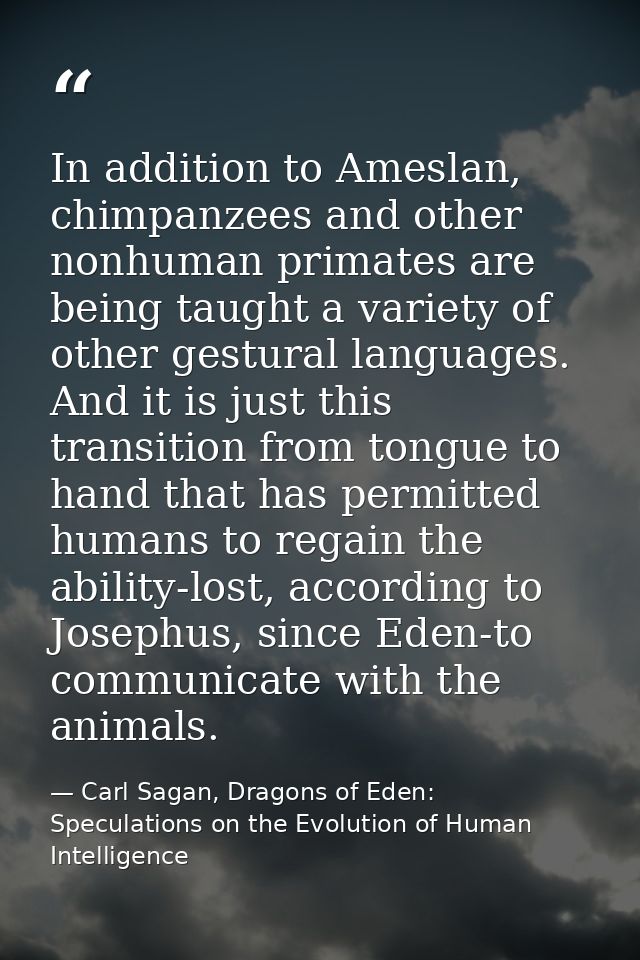 In addition to Ameslan, chimpanzees and other nonhuman primates are being taught a variety of other gestural languages.  — Carl Sagan, Dragons of Eden: Speculations on the Evolution of Human Intelligence