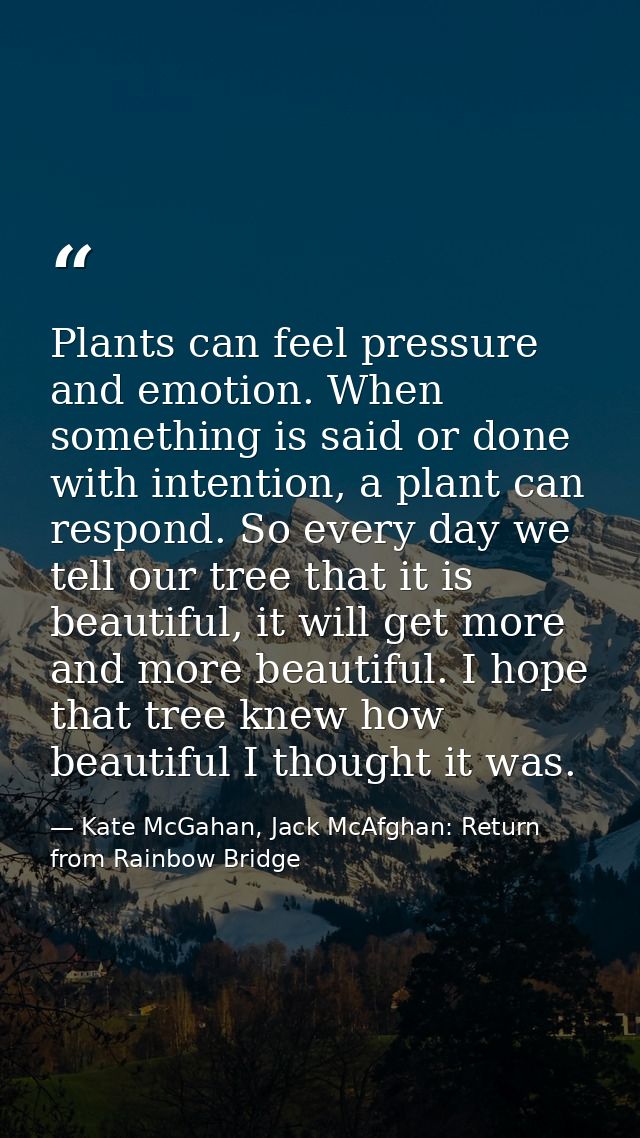 Plants can feel pressure and emotion. When something is said or done with intention, a plant can respond. So every day w — Kate McGahan, Jack McAfghan: Return from Rainbow Bridge