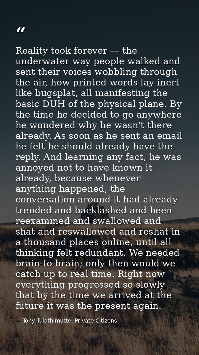 Reality took forever — the underwater way people walked and sent their voices wobbling through the air, how printed word — Tony Tulathimutte, Private Citizens