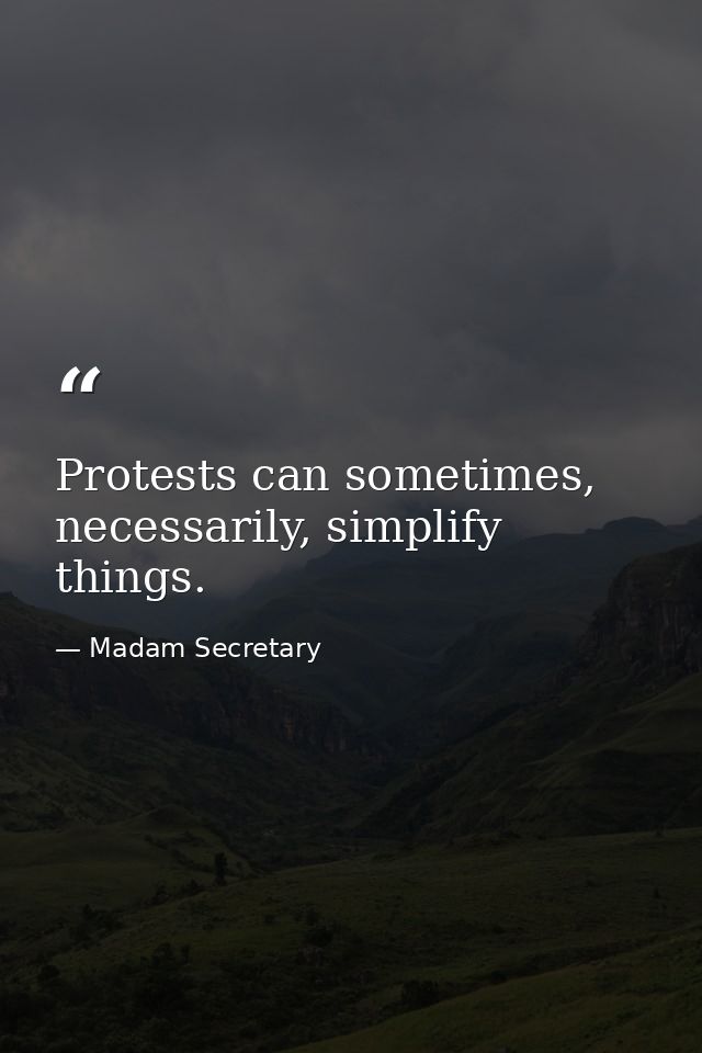 Protests can sometimes, necessarily, simplify things. — Madam Secretary