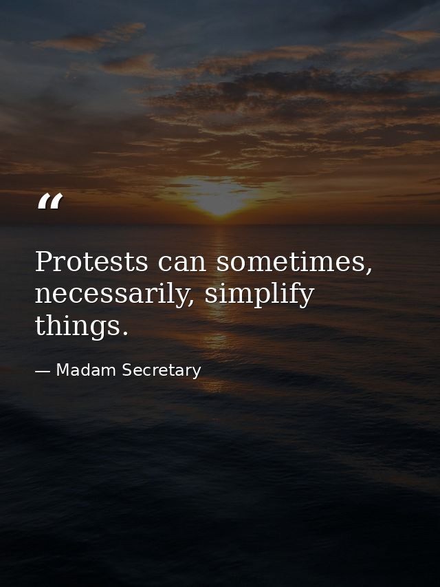 Protests can sometimes, necessarily, simplify things. — Madam Secretary