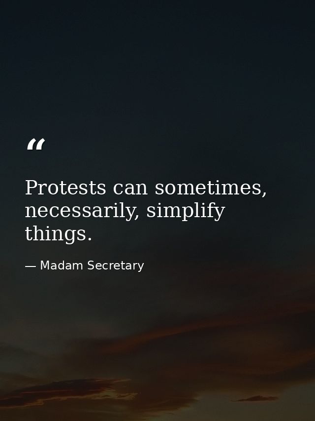 Protests can sometimes, necessarily, simplify things. — Madam Secretary