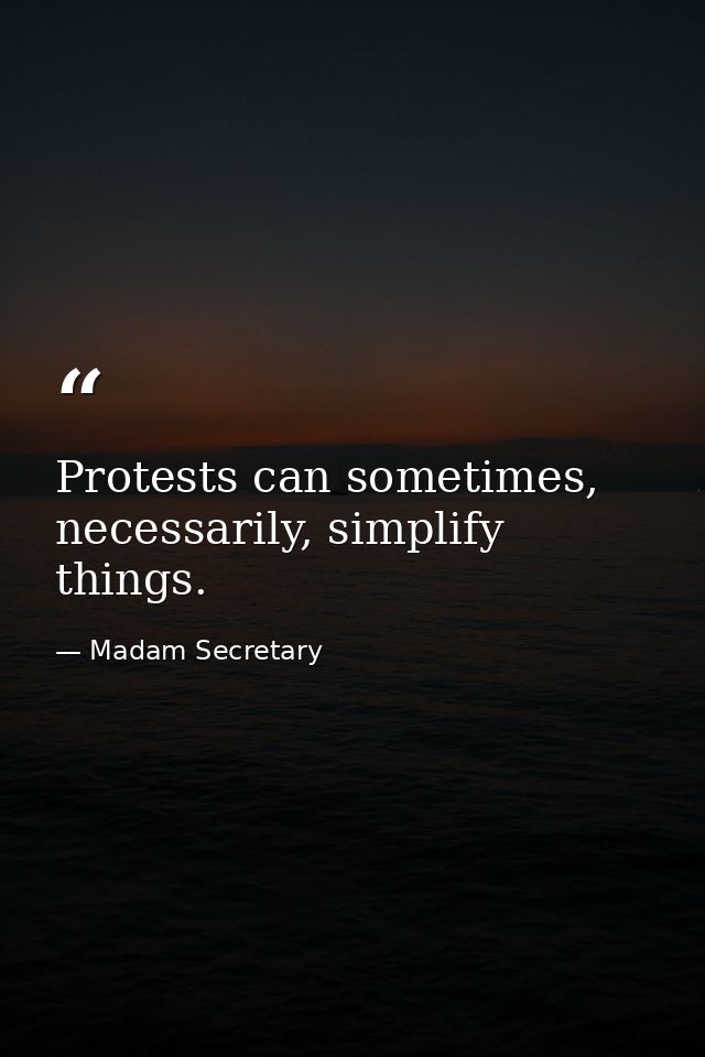 Protests can sometimes, necessarily, simplify things. — Madam Secretary