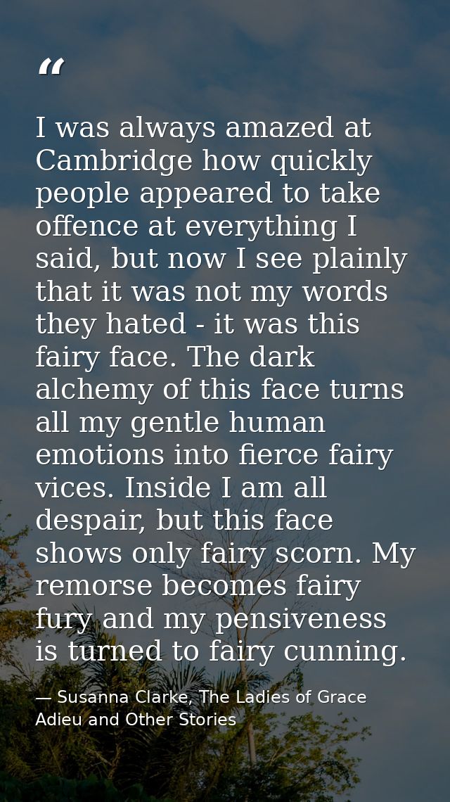I was always amazed at Cambridge how quickly people appeared to take offence at everything I said, but now I see plainly — Susanna Clarke, The Ladies of Grace Adieu and Other Stories