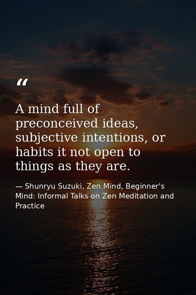 A mind full of preconceived ideas, subjective intentions, or habits it not open to things as they are. — Shunryu Suzuki, Zen Mind, Beginner's Mind: Informal Talks on Zen Meditation and Practice