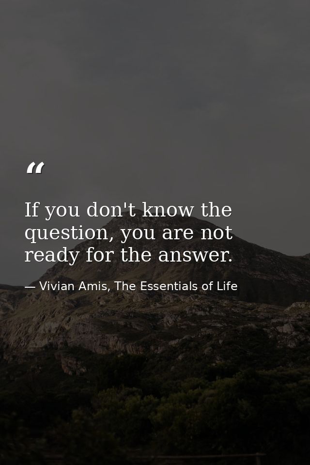 If you don't know the question, you are not ready for the answer. — Vivian Amis, The Essentials of Life