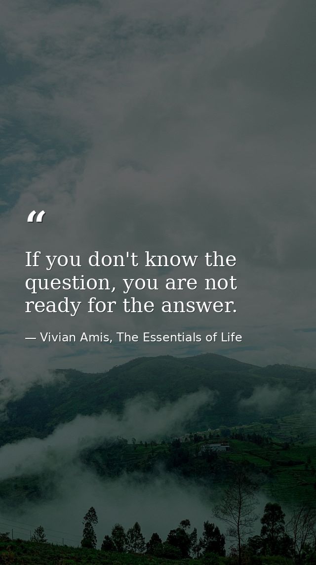 If you don't know the question, you are not ready for the answer. — Vivian Amis, The Essentials of Life