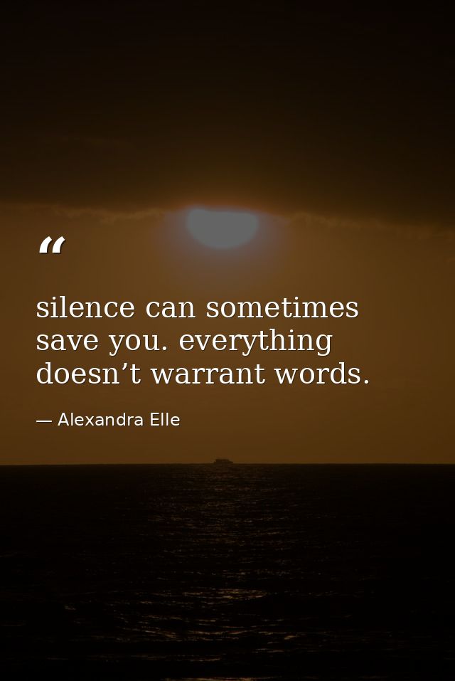 silence can sometimes save you. everything doesn’t warrant words. — Alexandra Elle