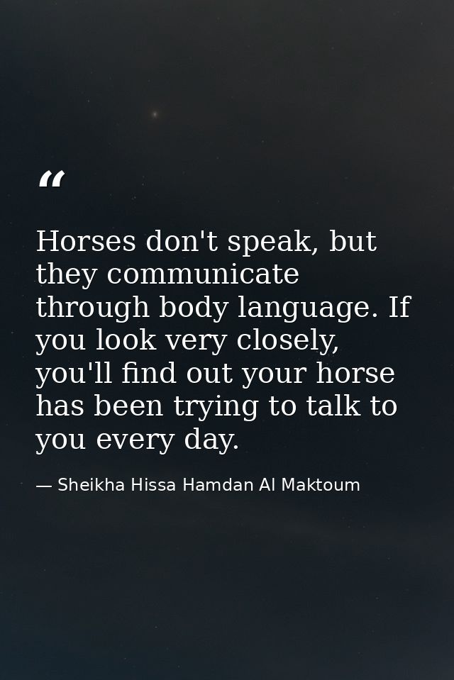 Horses don't speak, but they communicate through body language. If you look very closely, you'll find out your horse has — Sheikha Hissa Hamdan Al Maktoum