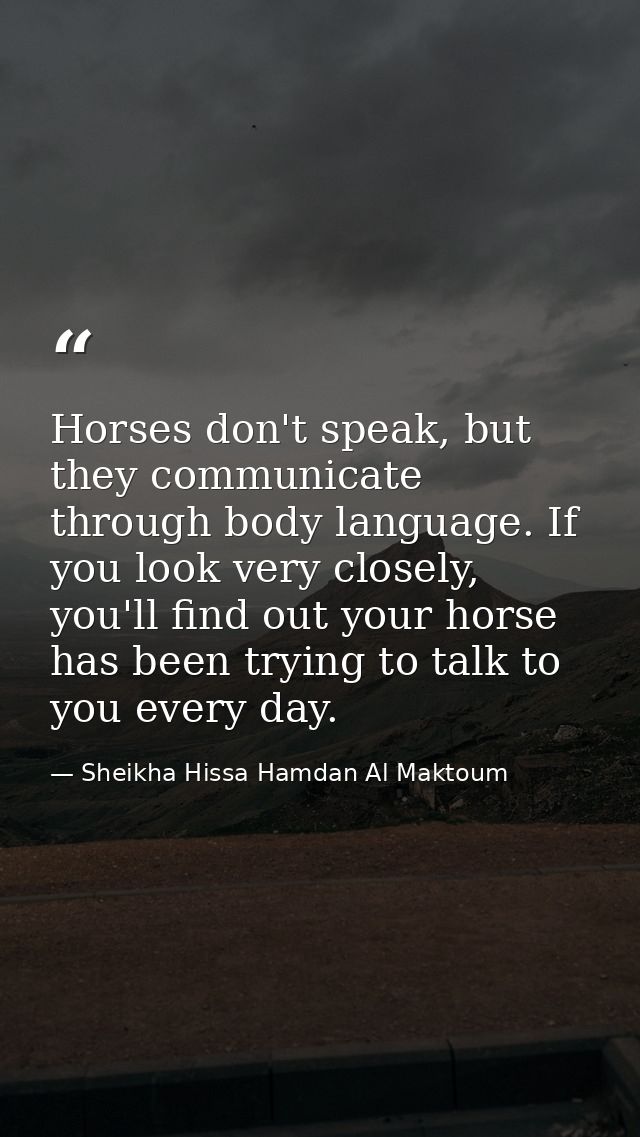 Horses don't speak, but they communicate through body language. If you look very closely, you'll find out your horse has — Sheikha Hissa Hamdan Al Maktoum