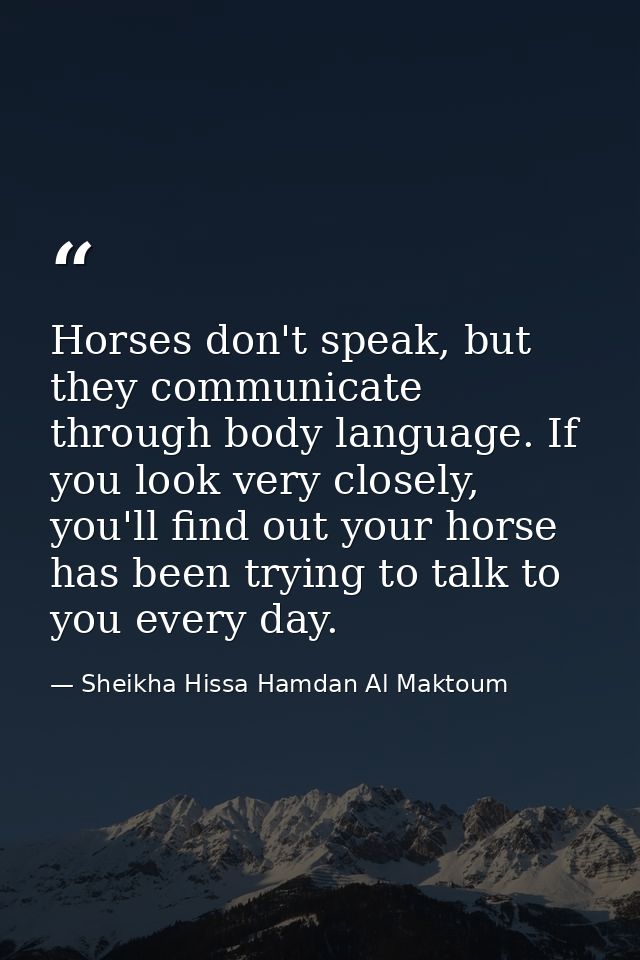 Horses don't speak, but they communicate through body language. If you look very closely, you'll find out your horse has — Sheikha Hissa Hamdan Al Maktoum