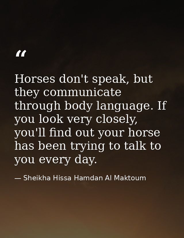 Horses don't speak, but they communicate through body language. If you look very closely, you'll find out your horse has — Sheikha Hissa Hamdan Al Maktoum