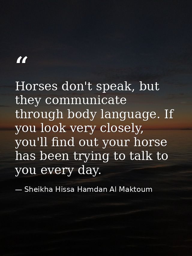 Horses don't speak, but they communicate through body language. If you look very closely, you'll find out your horse has — Sheikha Hissa Hamdan Al Maktoum