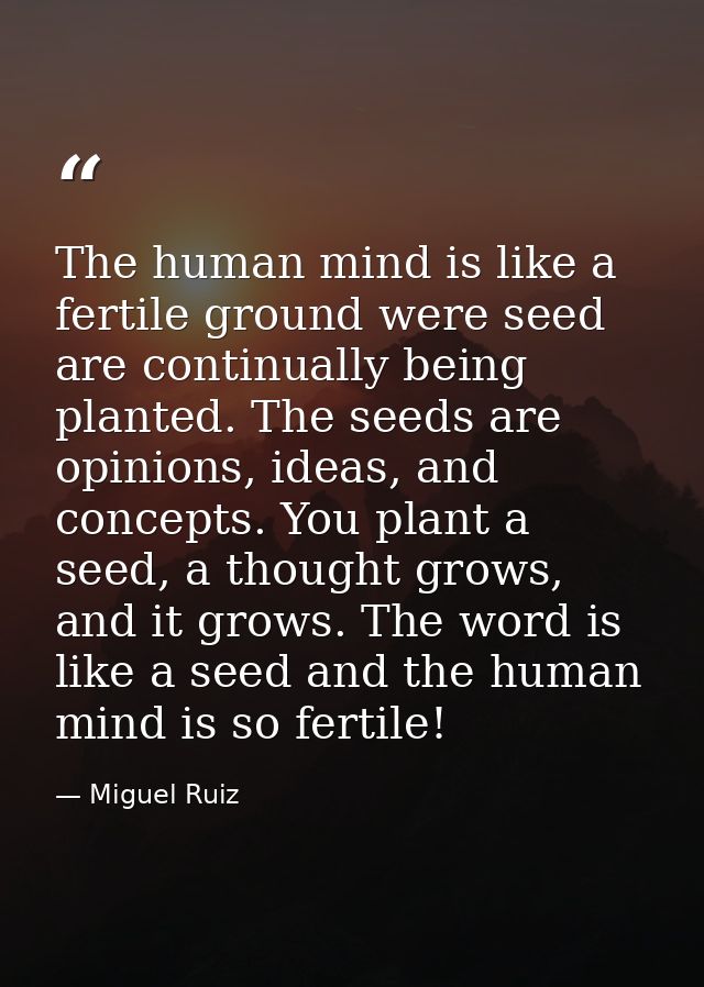 The human mind is like a fertile ground were seed are continually being planted. The seeds are opinions, ideas, and conc — Miguel Ruiz