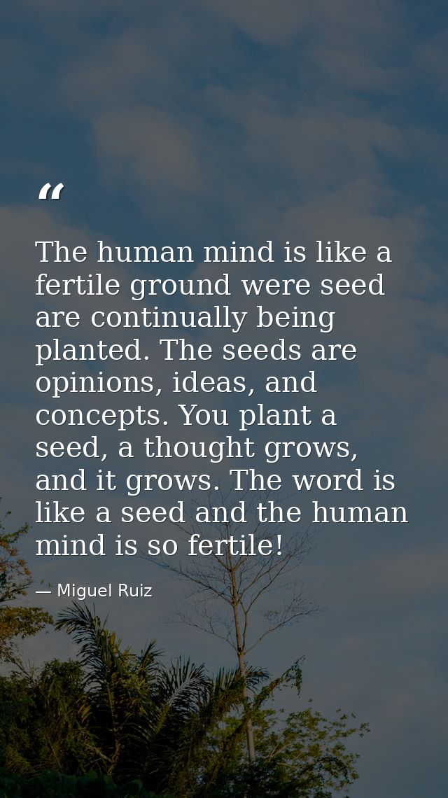 The human mind is like a fertile ground were seed are continually being planted. The seeds are opinions, ideas, and conc — Miguel Ruiz