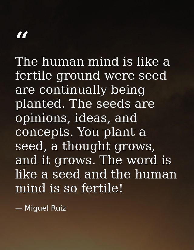 The human mind is like a fertile ground were seed are continually being planted. The seeds are opinions, ideas, and conc — Miguel Ruiz