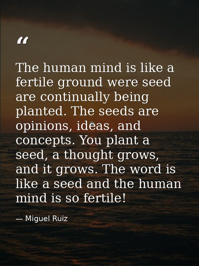 The human mind is like a fertile ground were seed are continually being planted. The seeds are opinions, ideas, and conc — Miguel Ruiz