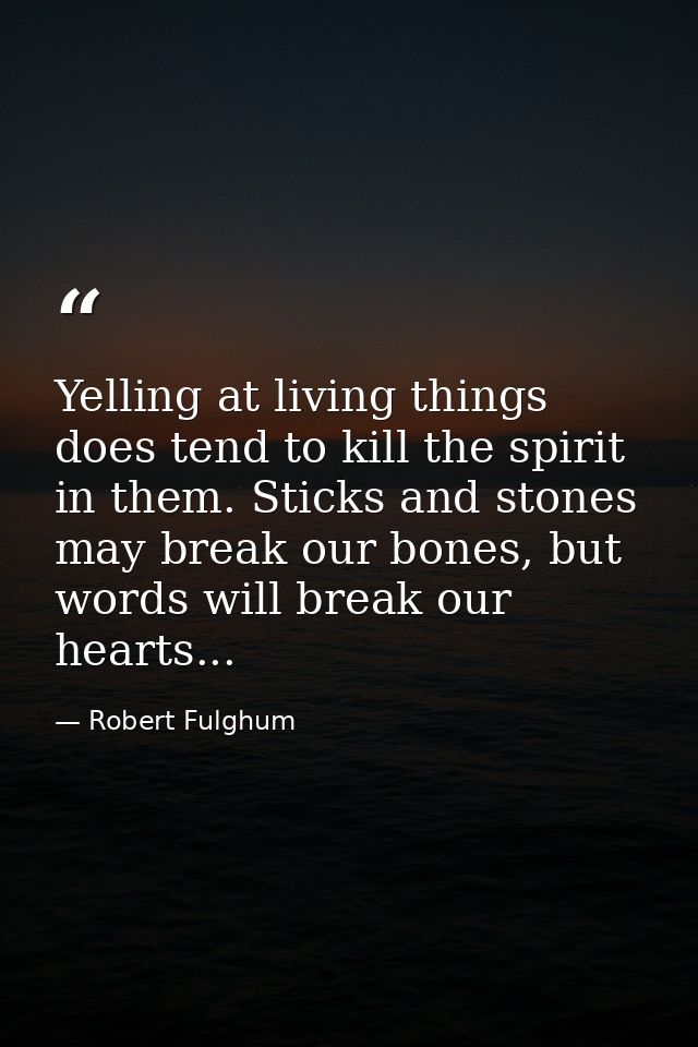 Yelling at living things does tend to kill the spirit in them. Sticks and stones may break our bones, but words will bre — Robert Fulghum