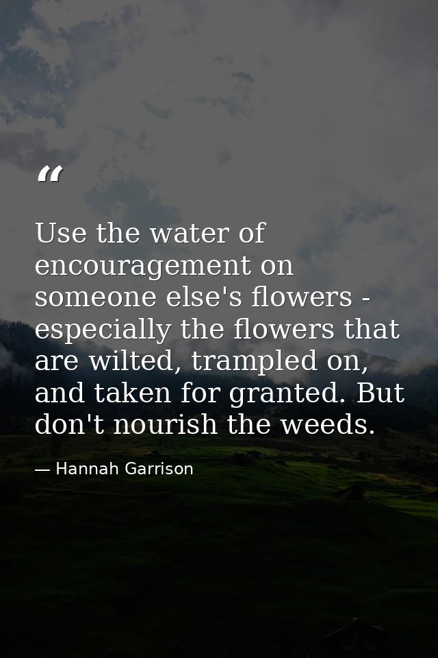 Use the water of encouragement on someone else's flowers - especially the flowers that are wilted, trampled on, and take — Hannah Garrison