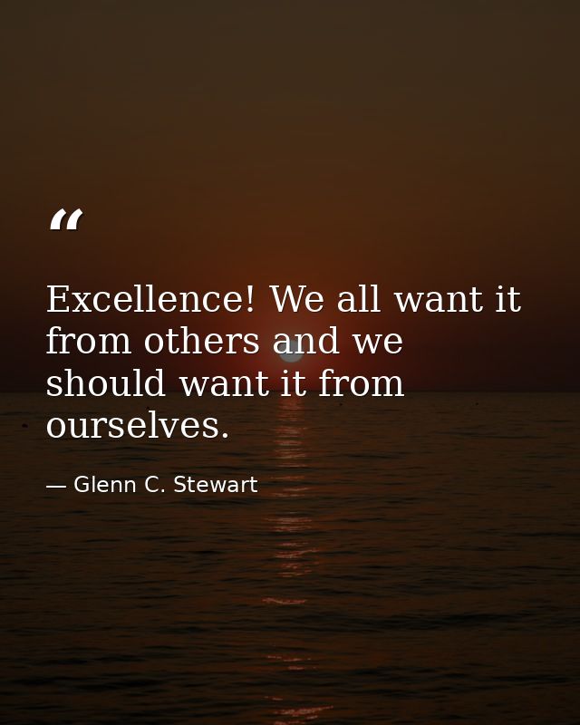 Excellence! We all want it from others and we should want it from ourselves. — Glenn C. Stewart