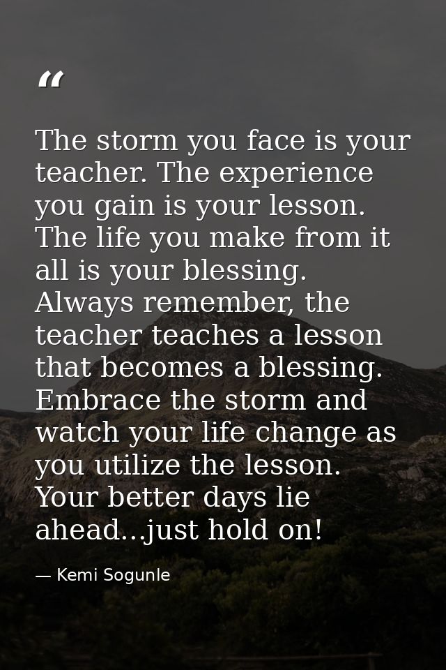The storm you face is your teacher. The experience you gain is your lesson. The life you make from it all is your blessi — Kemi Sogunle