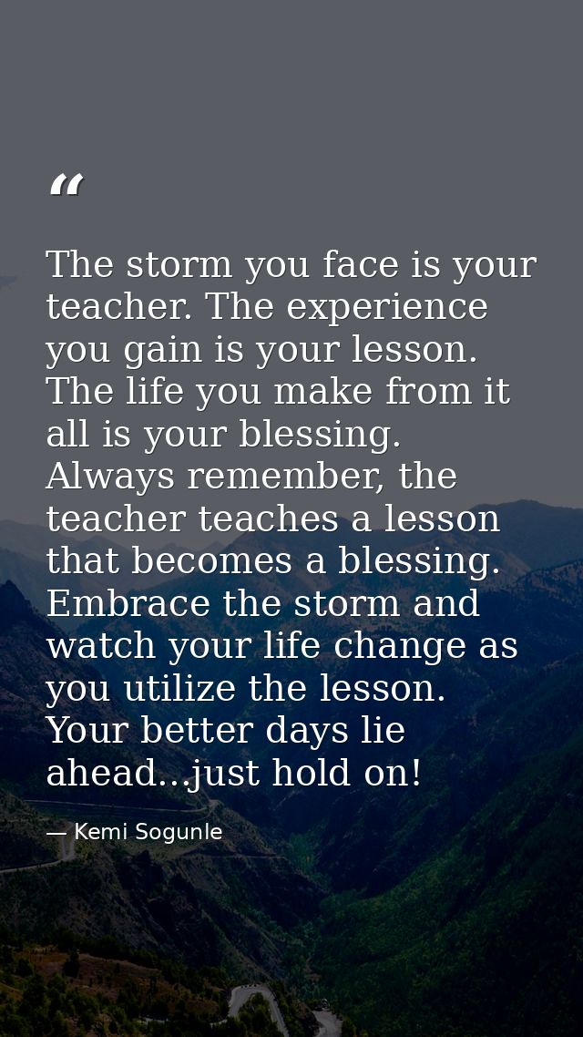 The storm you face is your teacher. The experience you gain is your lesson. The life you make from it all is your blessi — Kemi Sogunle