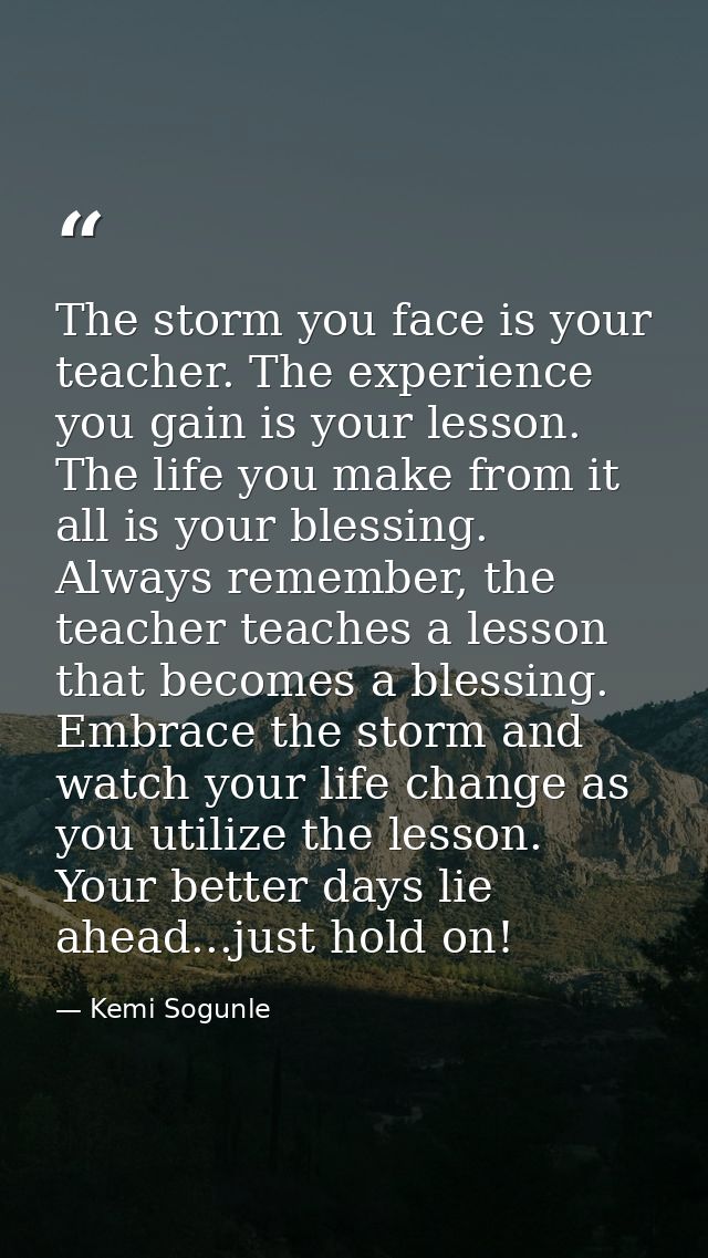 The storm you face is your teacher. The experience you gain is your lesson. The life you make from it all is your blessi — Kemi Sogunle
