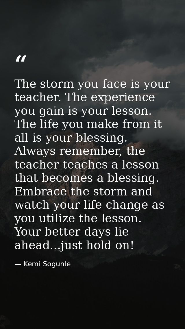 The storm you face is your teacher. The experience you gain is your lesson. The life you make from it all is your blessi — Kemi Sogunle