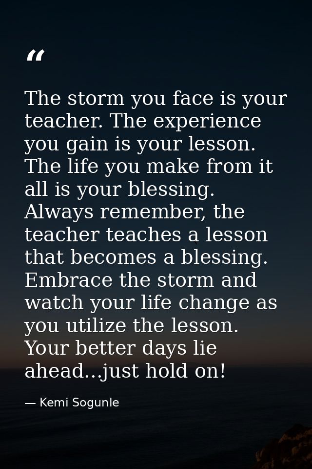The storm you face is your teacher. The experience you gain is your lesson. The life you make from it all is your blessi — Kemi Sogunle