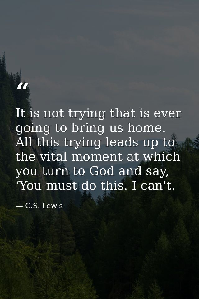 It is not trying that is ever going to bring us home. All this trying leads up to the vital moment at which you turn to  — C.S. Lewis