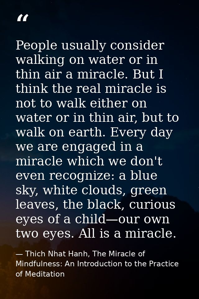 People usually consider walking on water or in thin air a miracle. But I think the real miracle is not to walk either on — Thich Nhat Hanh, The Miracle of Mindfulness: An Introduction to the Practice of Meditation
