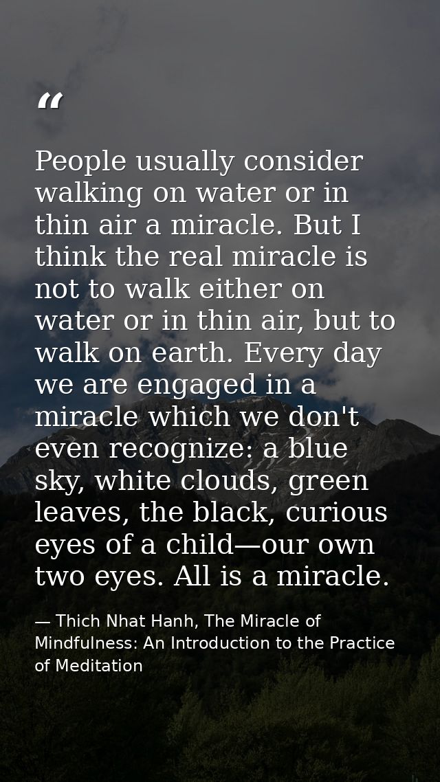 People usually consider walking on water or in thin air a miracle. But I think the real miracle is not to walk either on — Thich Nhat Hanh, The Miracle of Mindfulness: An Introduction to the Practice of Meditation