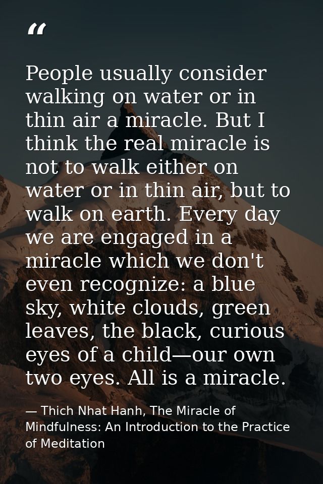 People usually consider walking on water or in thin air a miracle. But I think the real miracle is not to walk either on — Thich Nhat Hanh, The Miracle of Mindfulness: An Introduction to the Practice of Meditation