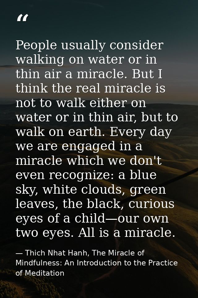 People usually consider walking on water or in thin air a miracle. But I think the real miracle is not to walk either on — Thich Nhat Hanh, The Miracle of Mindfulness: An Introduction to the Practice of Meditation