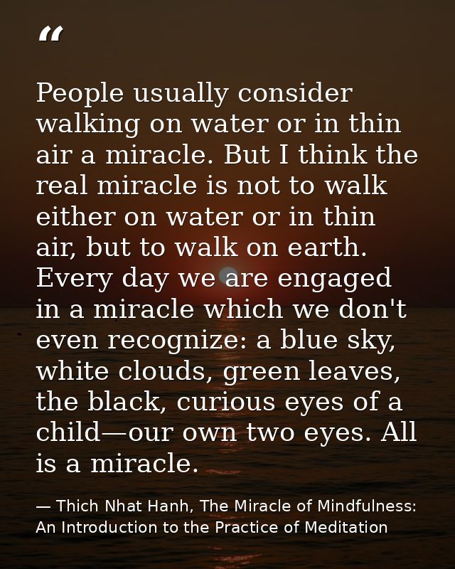 People usually consider walking on water or in thin air a miracle. But I think the real miracle is not to walk either on — Thich Nhat Hanh, The Miracle of Mindfulness: An Introduction to the Practice of Meditation
