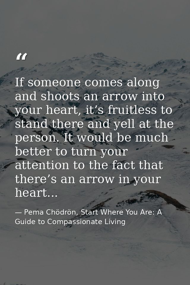 If someone comes along and shoots an arrow into your heart, it’s fruitless to stand there and yell at the person. It wou — Pema Chödrön, Start Where You Are: A Guide to Compassionate Living