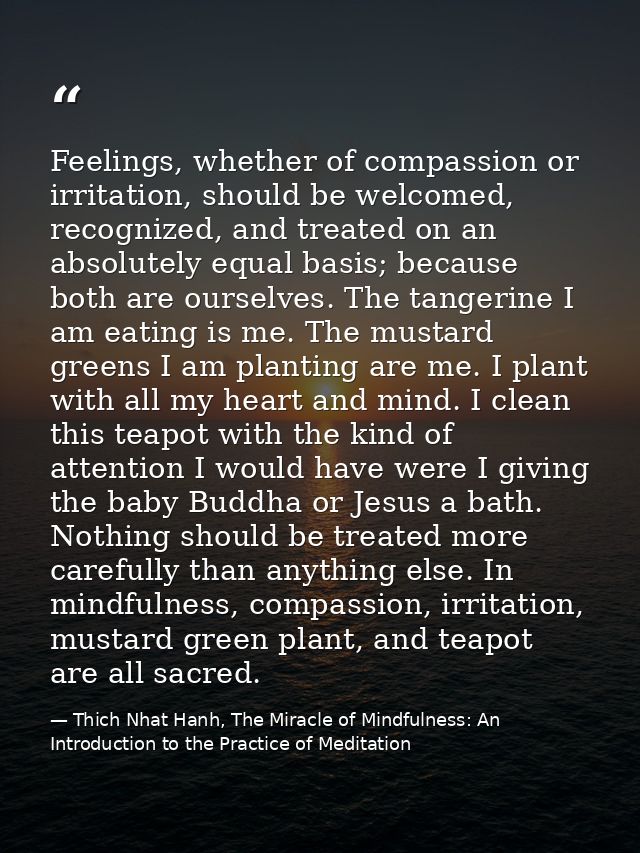 Feelings, whether of compassion or irritation, should be welcomed, recognized, and treated on an absolutely equal basis; — Thich Nhat Hanh, The Miracle of Mindfulness: An Introduction to the Practice of Meditation
