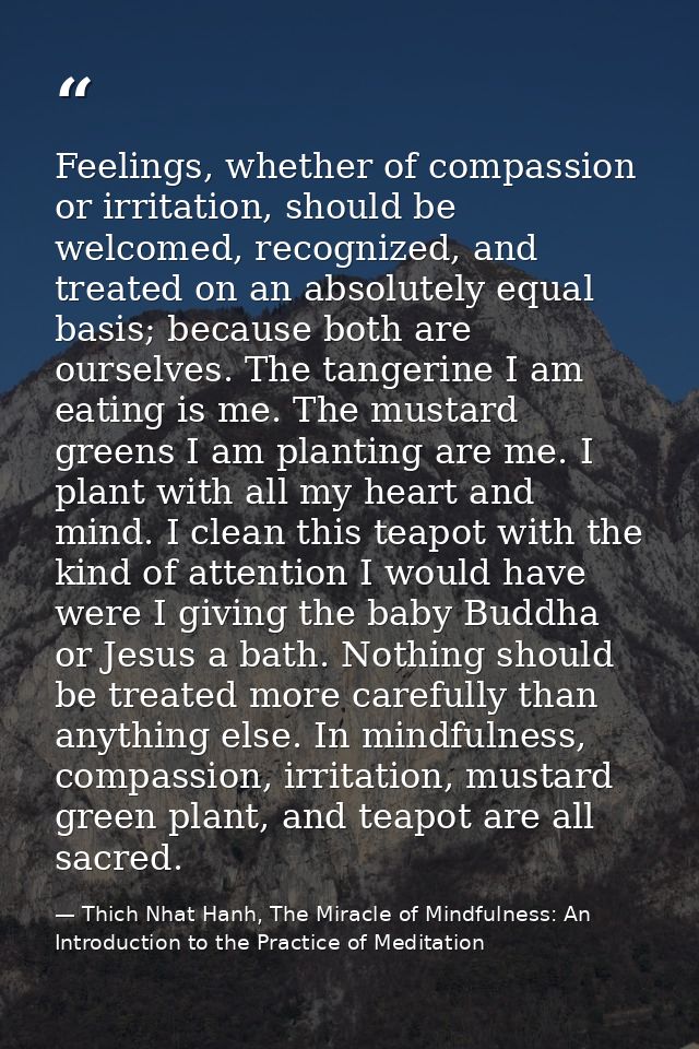 Feelings, whether of compassion or irritation, should be welcomed, recognized, and treated on an absolutely equal basis; — Thich Nhat Hanh, The Miracle of Mindfulness: An Introduction to the Practice of Meditation
