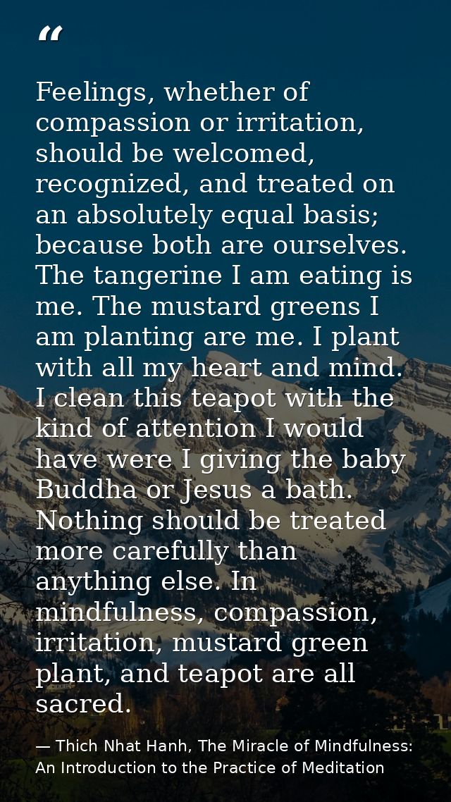 Feelings, whether of compassion or irritation, should be welcomed, recognized, and treated on an absolutely equal basis; — Thich Nhat Hanh, The Miracle of Mindfulness: An Introduction to the Practice of Meditation