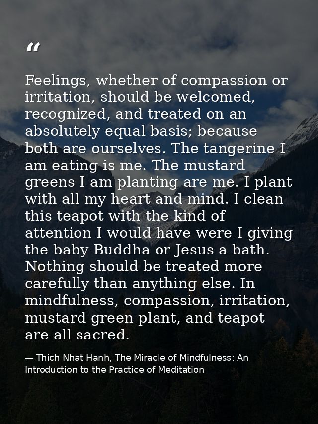 Feelings, whether of compassion or irritation, should be welcomed, recognized, and treated on an absolutely equal basis; — Thich Nhat Hanh, The Miracle of Mindfulness: An Introduction to the Practice of Meditation