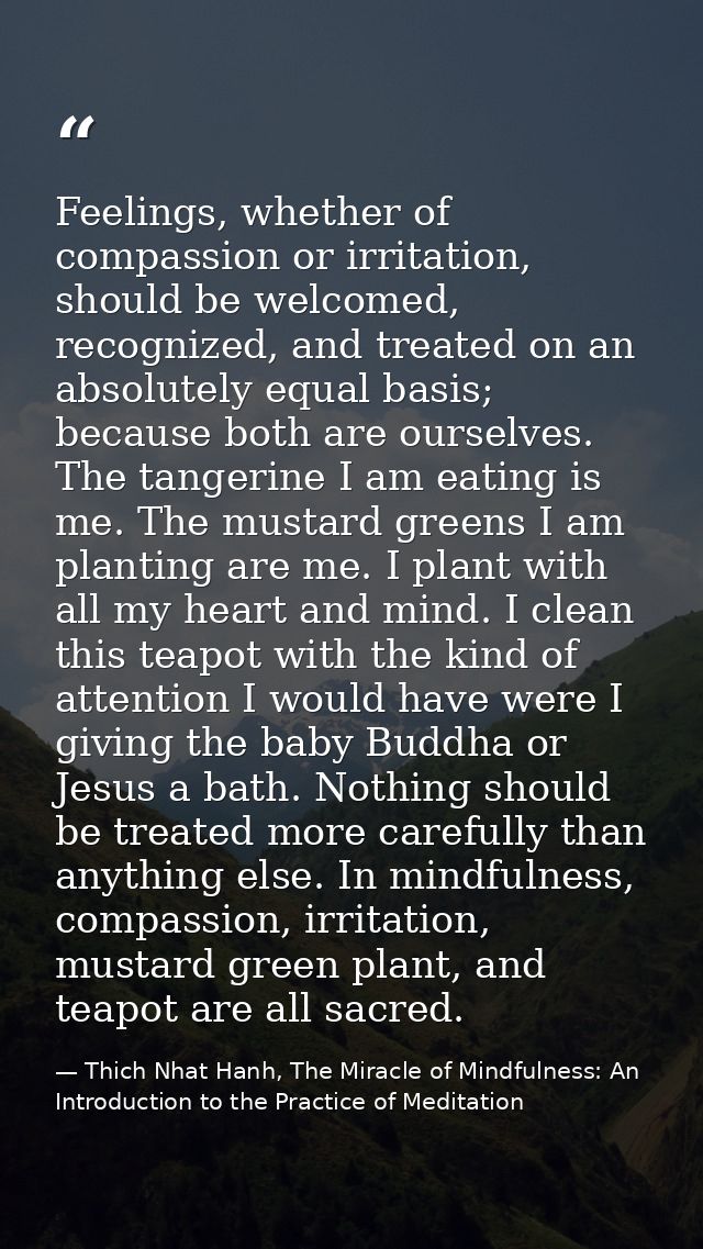 Feelings, whether of compassion or irritation, should be welcomed, recognized, and treated on an absolutely equal basis; — Thich Nhat Hanh, The Miracle of Mindfulness: An Introduction to the Practice of Meditation