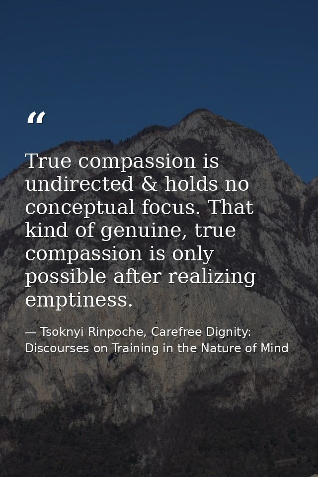 True compassion is undirected & holds no conceptual focus. That kind of genuine, true compassion is only possible after  — Tsoknyi Rinpoche, Carefree Dignity: Discourses on Training in the Nature of Mind