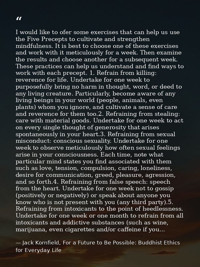 I would like to ofer some exercises that can help us use the Five Precepts to cultivate and strengthen mindfulness. It i — Jack Kornfield, For a Future to Be Possible: Buddhist Ethics for Everyday Life